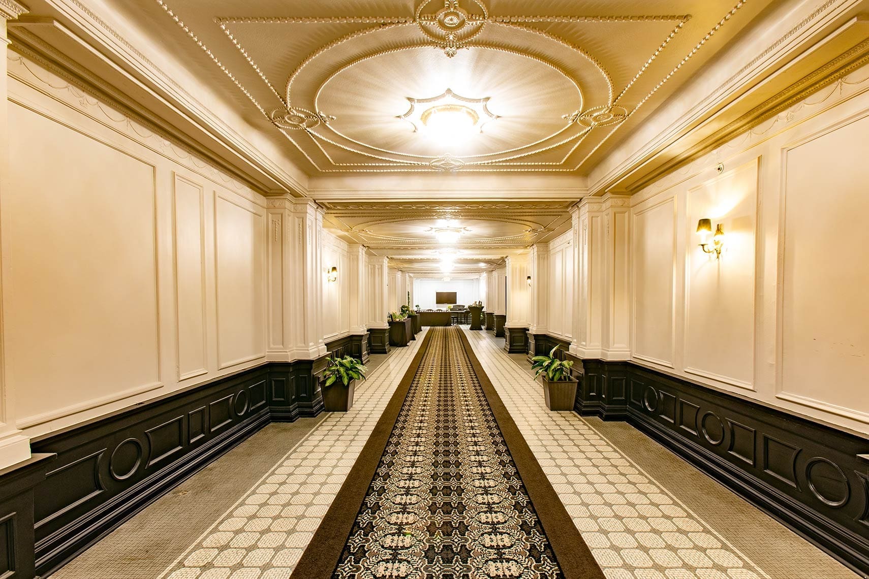 Opulent commercial hotel interior showcasing an elegant hallway with ornate ceiling, patterned carpet, and classic wall sconces; potted plants enhance the charm as the corridor leads to a distant reception area.